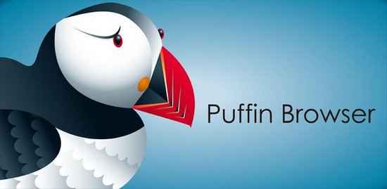 Puffin Browser Pro APK İndir – Full v7.7.2.30688