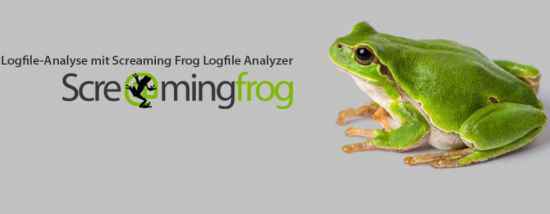 Screaming Frog Log File Analyser İndir Full v4.4